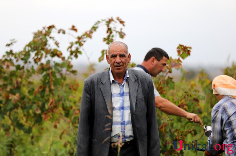 Pandemiya dövründə İvanovkada kolxozçular - FOTOREPORTAJ